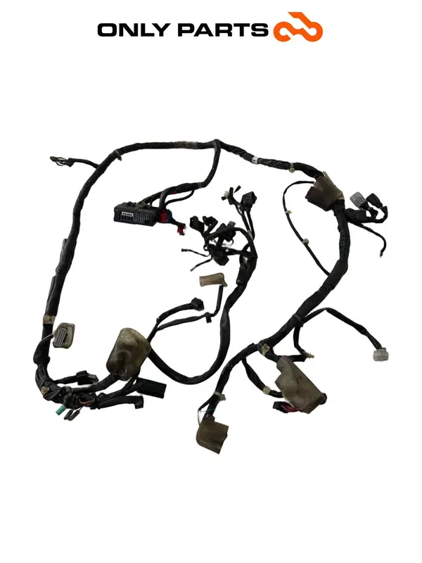 IMPIANTO ELETTRICO CABLAGGIO TELAIO HONDA SH 150 2017 MAIN WIRE WIRING HARNESS