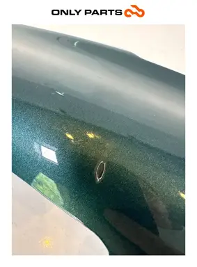 Fianchetto laterale verniciato verde con decalco R850R (side cover) BMW R 850 R 1997 BMW R 850 R usato — foto reale 3