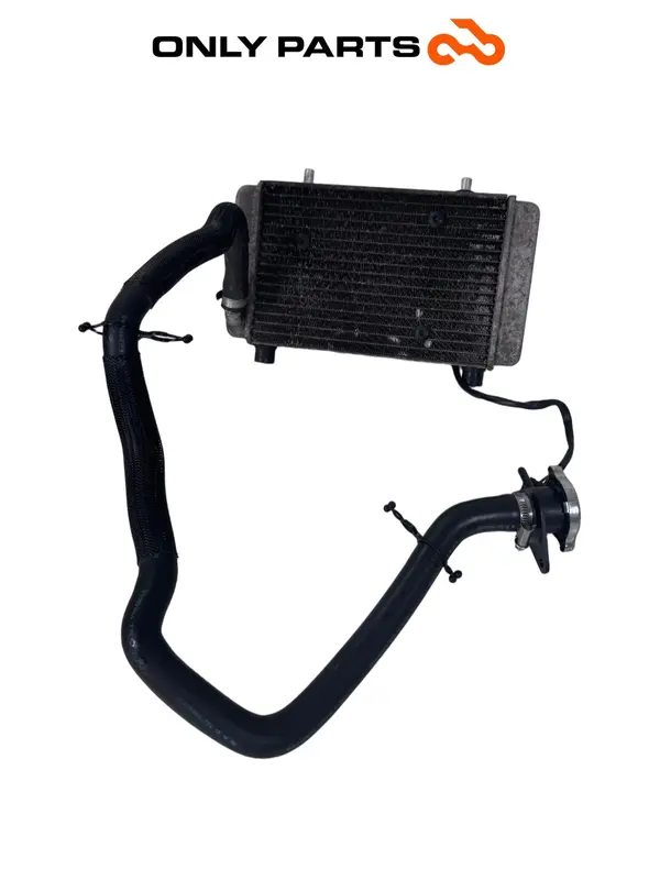 RADIATORE ACQUA + ELETTROVENTOLA E TUBI YAMAHA X-MAX 125 2014 / RADIATOR — 2