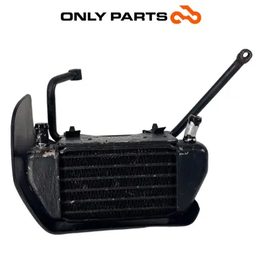 Radiatore olio con convogliatore e staffe (oil cooler) BMW R 850 R 1997 BMW R 850 R usato — foto reale 2