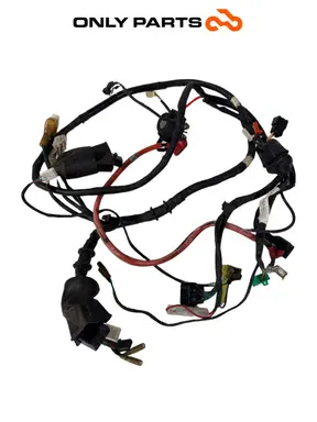 CABLAGGIO IMPIANTO ELETTRICO KYMCO AGILITY R16+ 125 2015 32100-ALJ8 WIRING HARNESS Kymco Agility R16+ 125cc 2015 Nero usato — foto reale 2