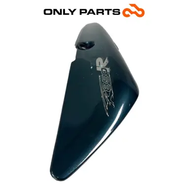 Fianchetto laterale verniciato verde con decalco R850R (side cover) BMW R 850 R 1997 BMW R 850 R usato — foto reale 8