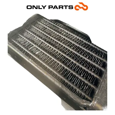 Radiatore olio con convogliatore e staffe (oil cooler) BMW R 850 R 1997 BMW R 850 R usato — foto reale 9