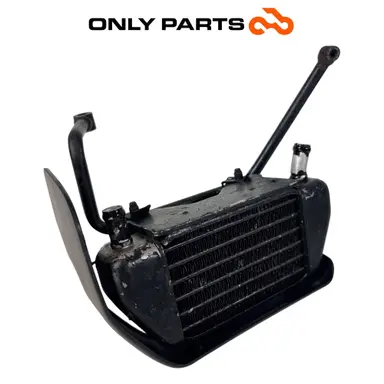 Radiatore olio con convogliatore e staffe (oil cooler) BMW R 850 R 1997 BMW R 850 R usato — foto reale 1