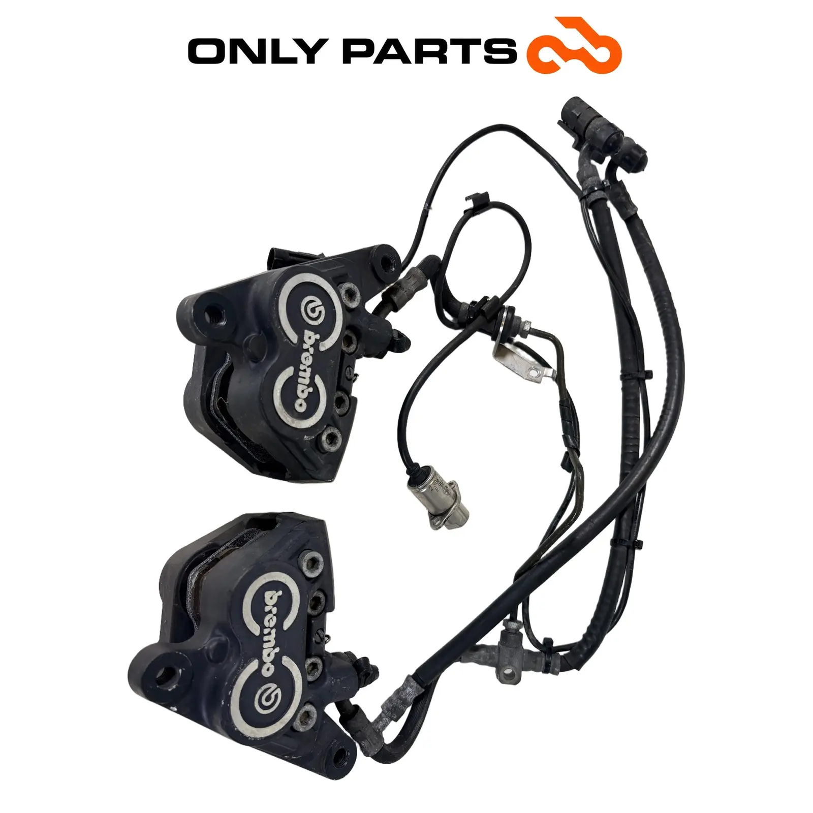 Coppia pinze freno anteriori Brembo con tubi (front brake calipers) BMW R 850 R 1997 BMW R 850 R usato — foto reale 4
