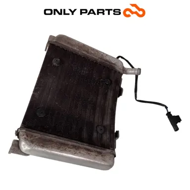 Radiatore acqua + ventola BMW C 400 X 400cc 2020 Blu usato — foto reale 4