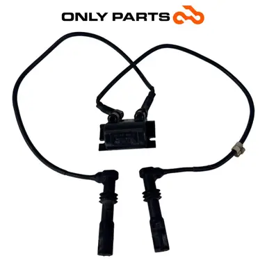 Bobina di accensione doppia con cavi e pipette (ignition coil) BMW R 850 R 1997 BMW R 850 R usato — foto reale 3