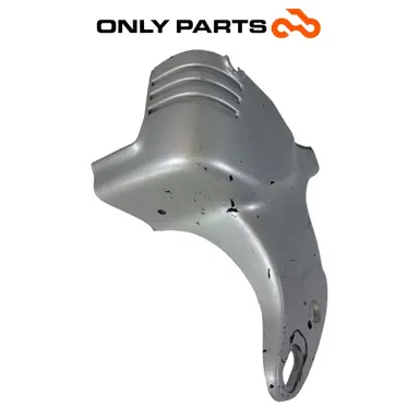 Protezione testata cilindro in plastica grigia (cylinder head cover) BMW R 850 R 1997 BMW R 850 R usato — foto reale 6