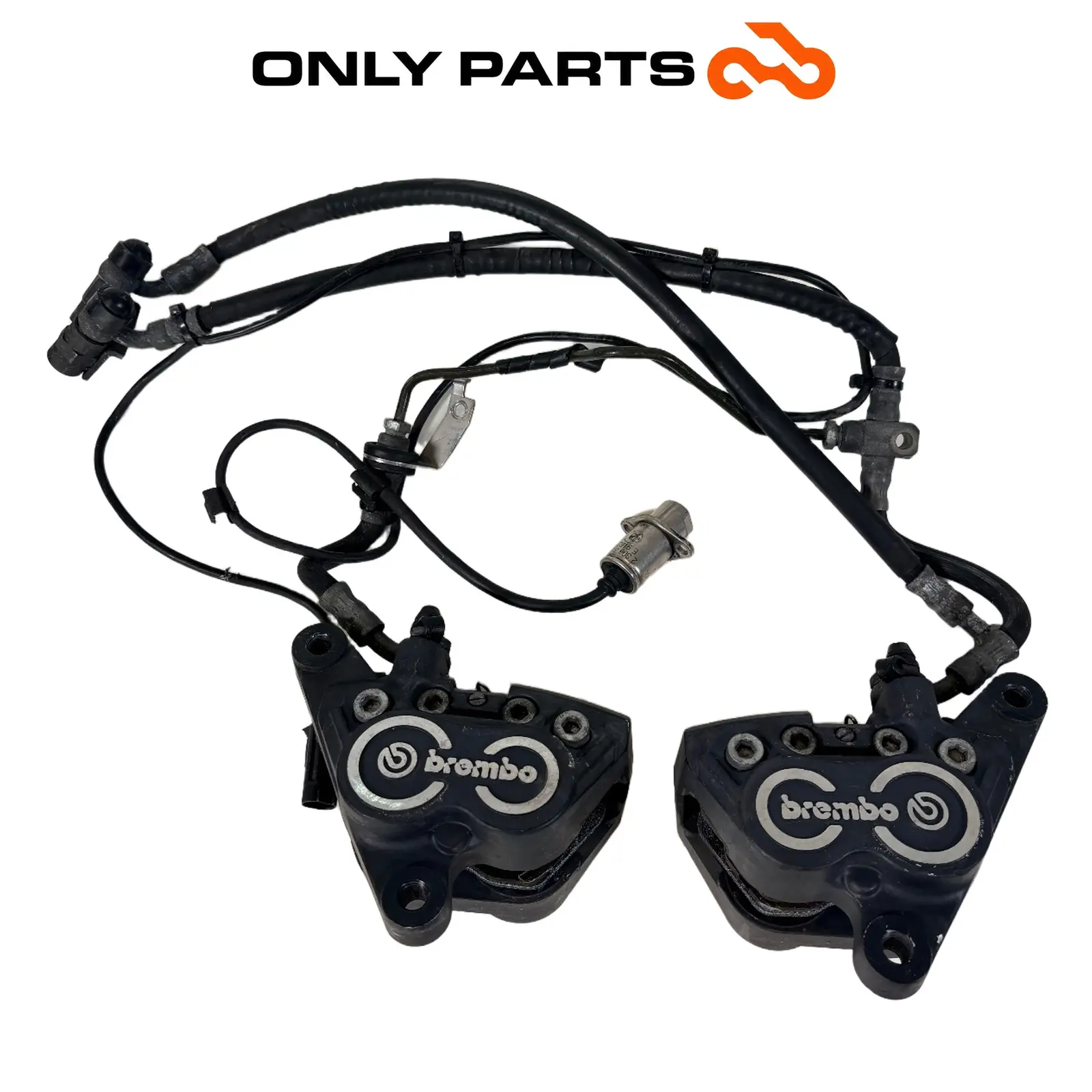 Coppia pinze freno anteriori Brembo con tubi (front brake calipers) BMW R 850 R 1997 BMW R 850 R usato — foto reale 1