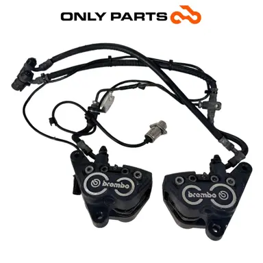 Coppia pinze freno anteriori Brembo con tubi (front brake calipers) BMW R 850 R 1997 BMW R 850 R usato — foto reale 1