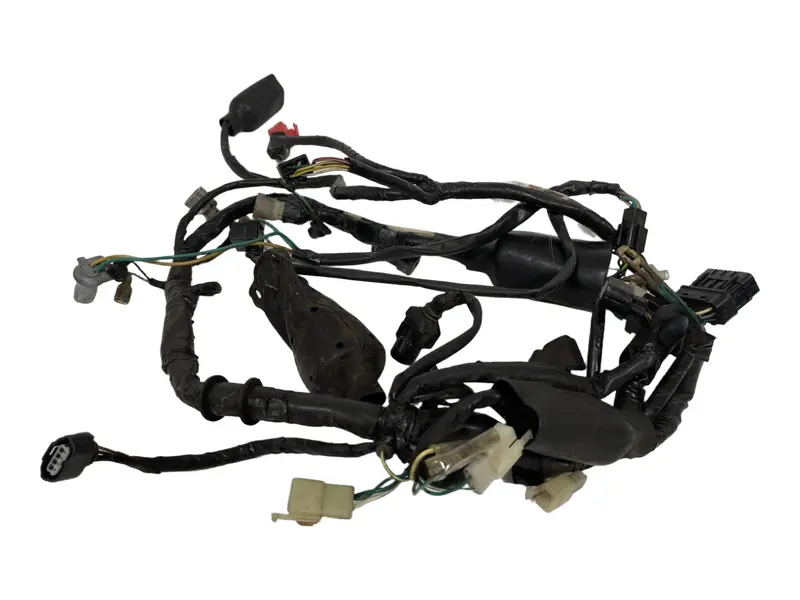 CABLAGGIO IMPIANTO ELETTRICO PRINCIPALE HONDA CBF 125 2009 / MAIN WIRING LOOM — 3