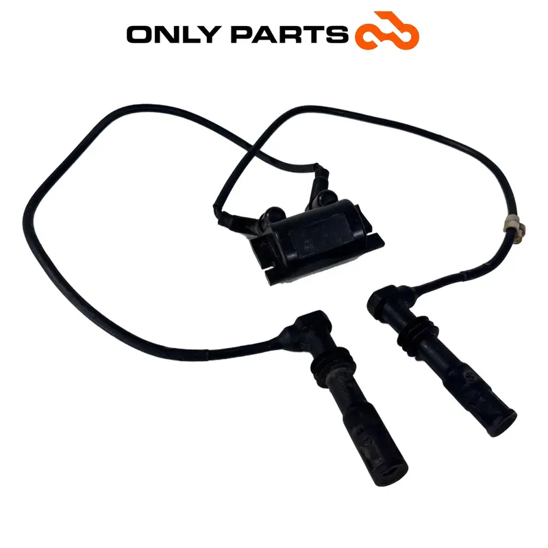 BOBINA ACCENSIONE DOPPIA USCITA CON CAVI PIPETTE BMW R 850 R 1997 / COIL OEM