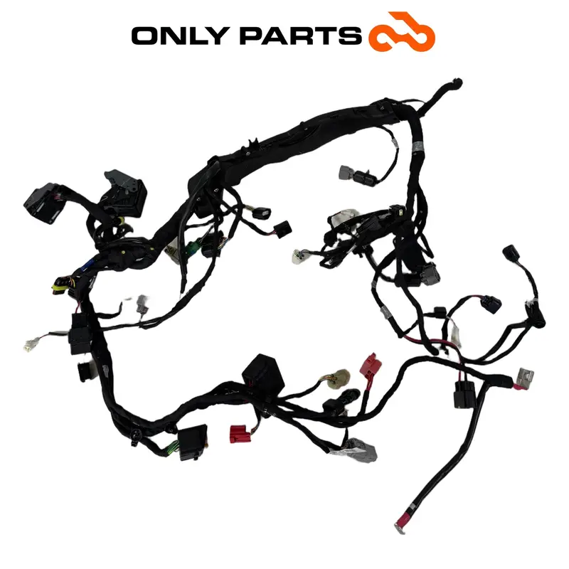 IMPIANTO ELETTRICO APRILIA RS 457 2024 VEDI FOTO DANNEGGIATO SOLO RECUPERO SPINE