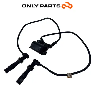 Bobina di accensione doppia con cavi e pipette (ignition coil) BMW R 850 R 1997 BMW R 850 R usato — foto reale 2