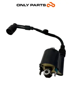 Gebrauchte ZÜNDSPULE MIT KERZENSTECKER HONDA SH 150 2017 Honda SH 150cc 2017 Nero — echtes Foto 1