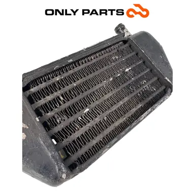 Radiatore olio con tubo (oil cooler) BMW R 850 R 1997 BMW R 850 R usato — foto reale 5