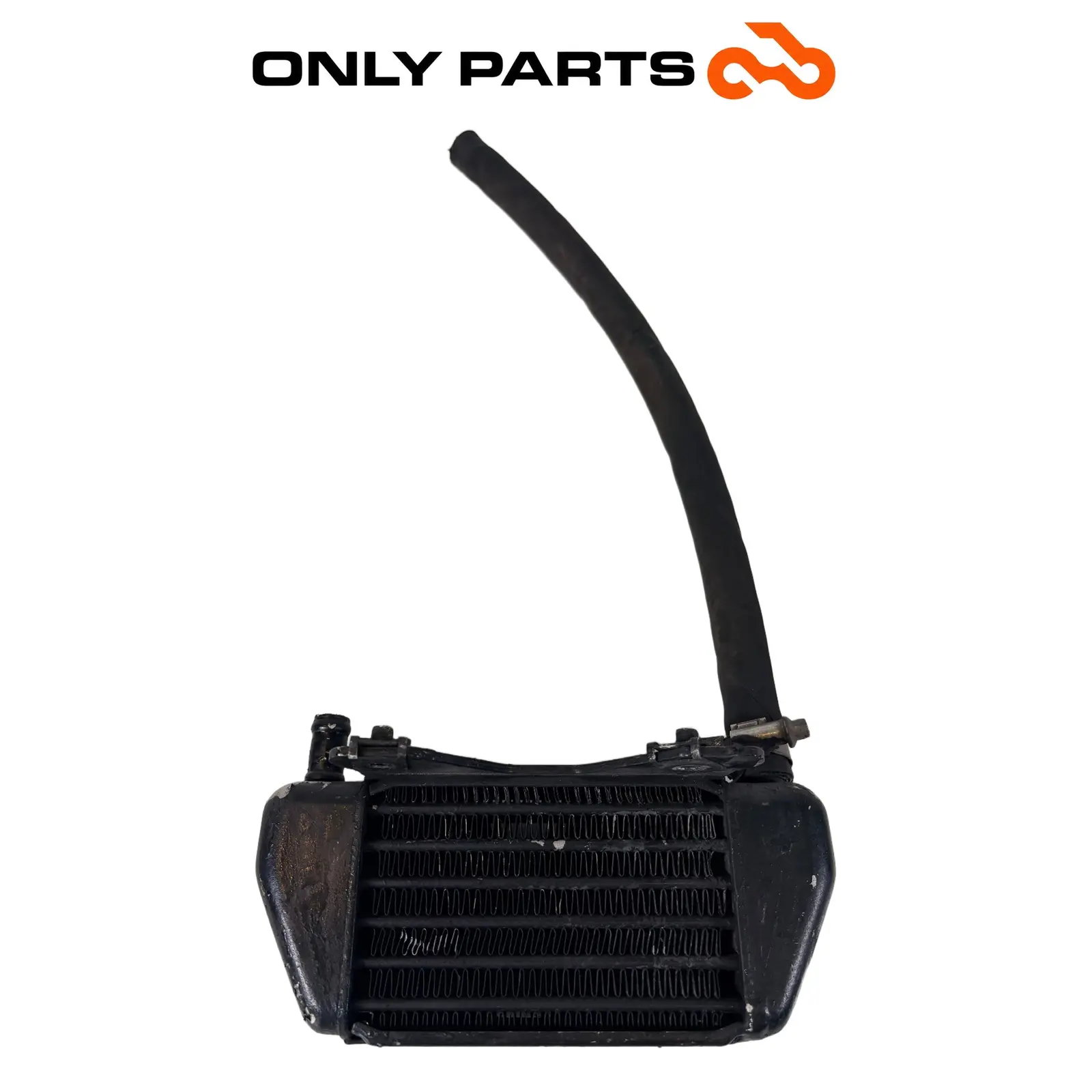 Radiatore olio con tubo (oil cooler) BMW R 850 R 1997 BMW R 850 R usato — foto reale 6