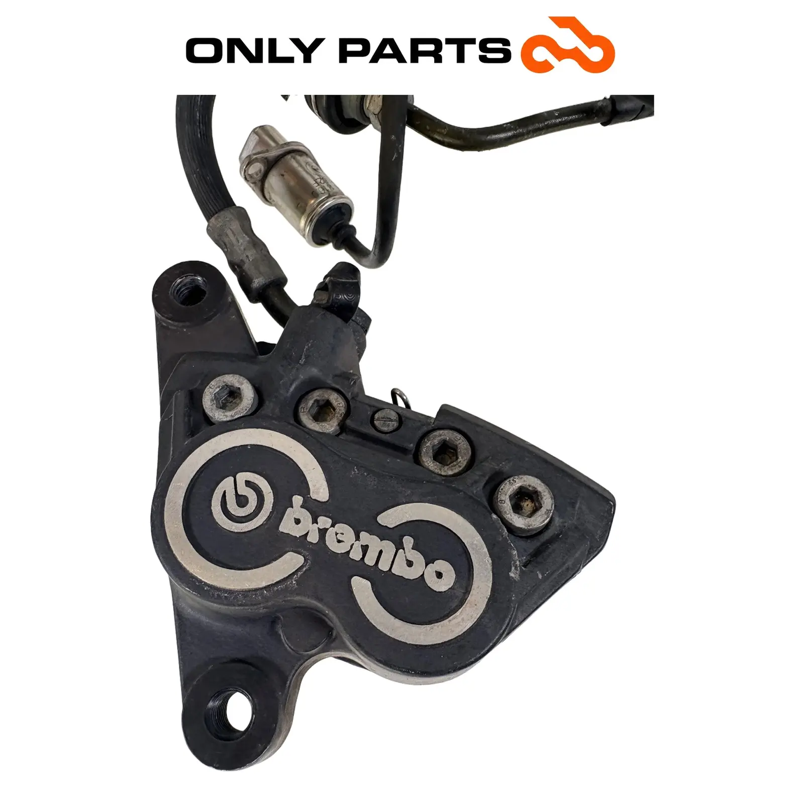Coppia pinze freno anteriori Brembo con tubi (front brake calipers) BMW R 850 R 1997 BMW R 850 R usato — foto reale 8