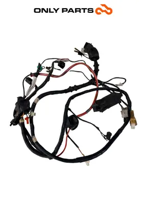 CABLAGGIO IMPIANTO ELETTRICO KYMCO AGILITY R16+ 125 2015 32100-ALJ8 WIRING HARNESS Kymco Agility R16+ 125cc 2015 Nero usato — foto reale 4