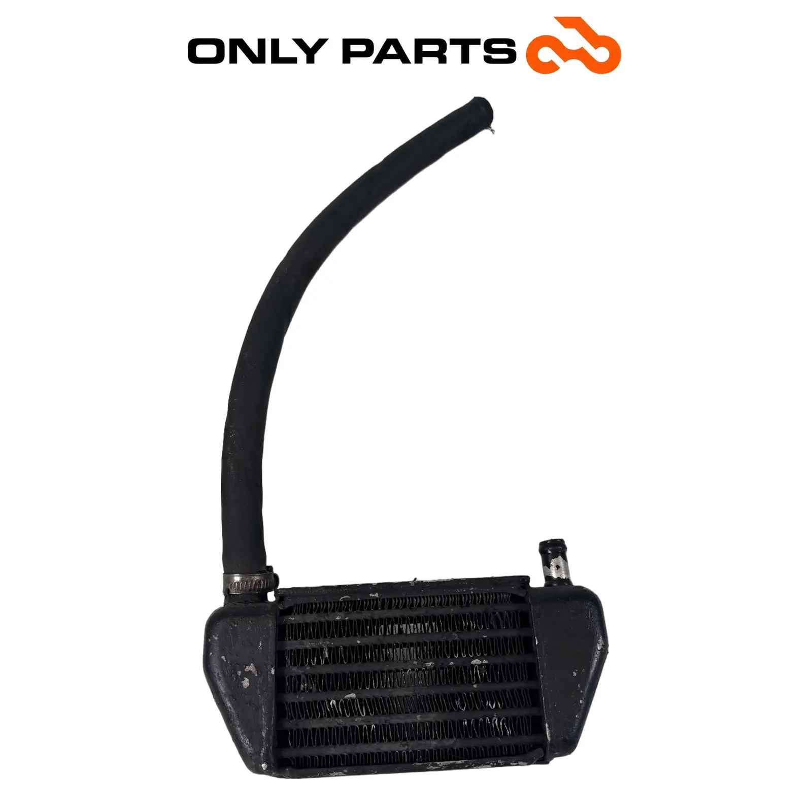 Radiatore olio con tubo (oil cooler) BMW R 850 R 1997 BMW R 850 R usato — foto reale 2