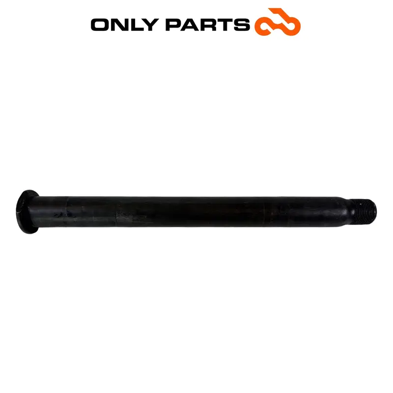 PERNO ASSE RUOTA POSTERIORE CON DADO E TENDITORI YAMAHA YZF-R6 2005 / REAR AXLE
