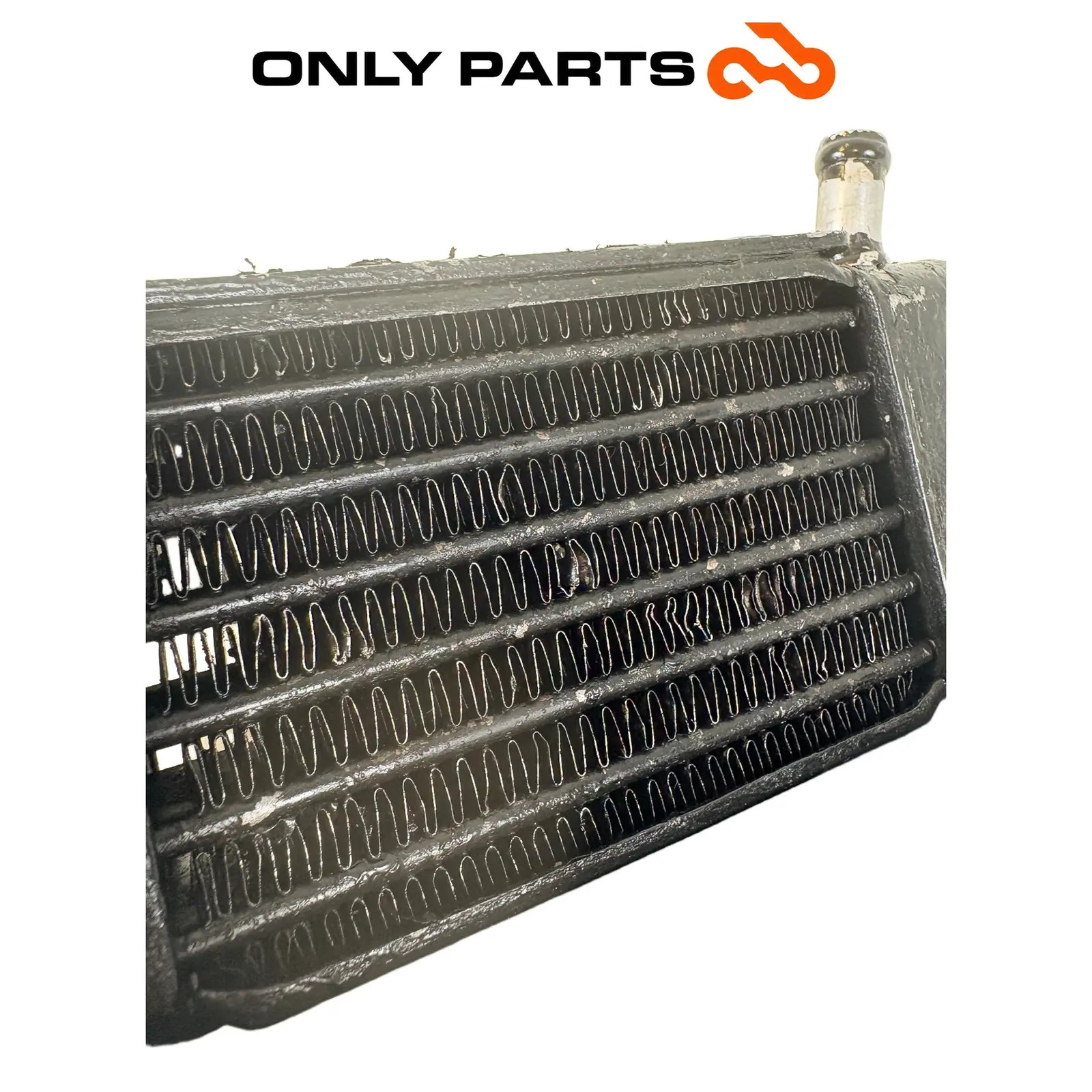 Radiatore olio con convogliatore e staffe (oil cooler) BMW R 850 R 1997 BMW R 850 R usato — foto reale 10