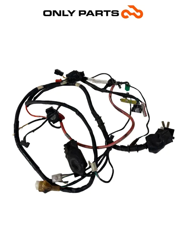 Cablaggio Impianto Elettrico Kymco Agility R16+ 125 2015 OEM 32100-ALJ8 Harness
