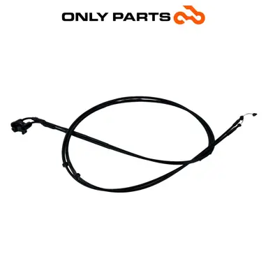 Чифт жила за газта Aprilia Scarabeo 300 2010 OEM Aprilia Scarabeo 300cc 2010 Bianco употребявана — истинска снимка 6