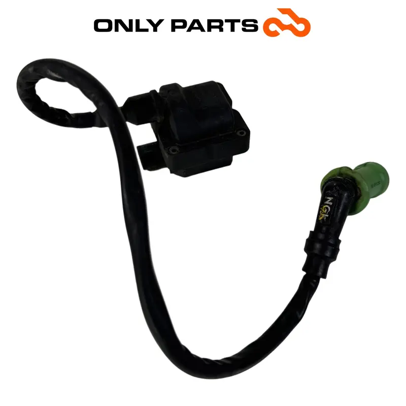 BOBINA ACCENSIONE CON CAVO E PIPETTA PIAGGIO MP3 250 2009 / IGNITION COIL ASSY — 3