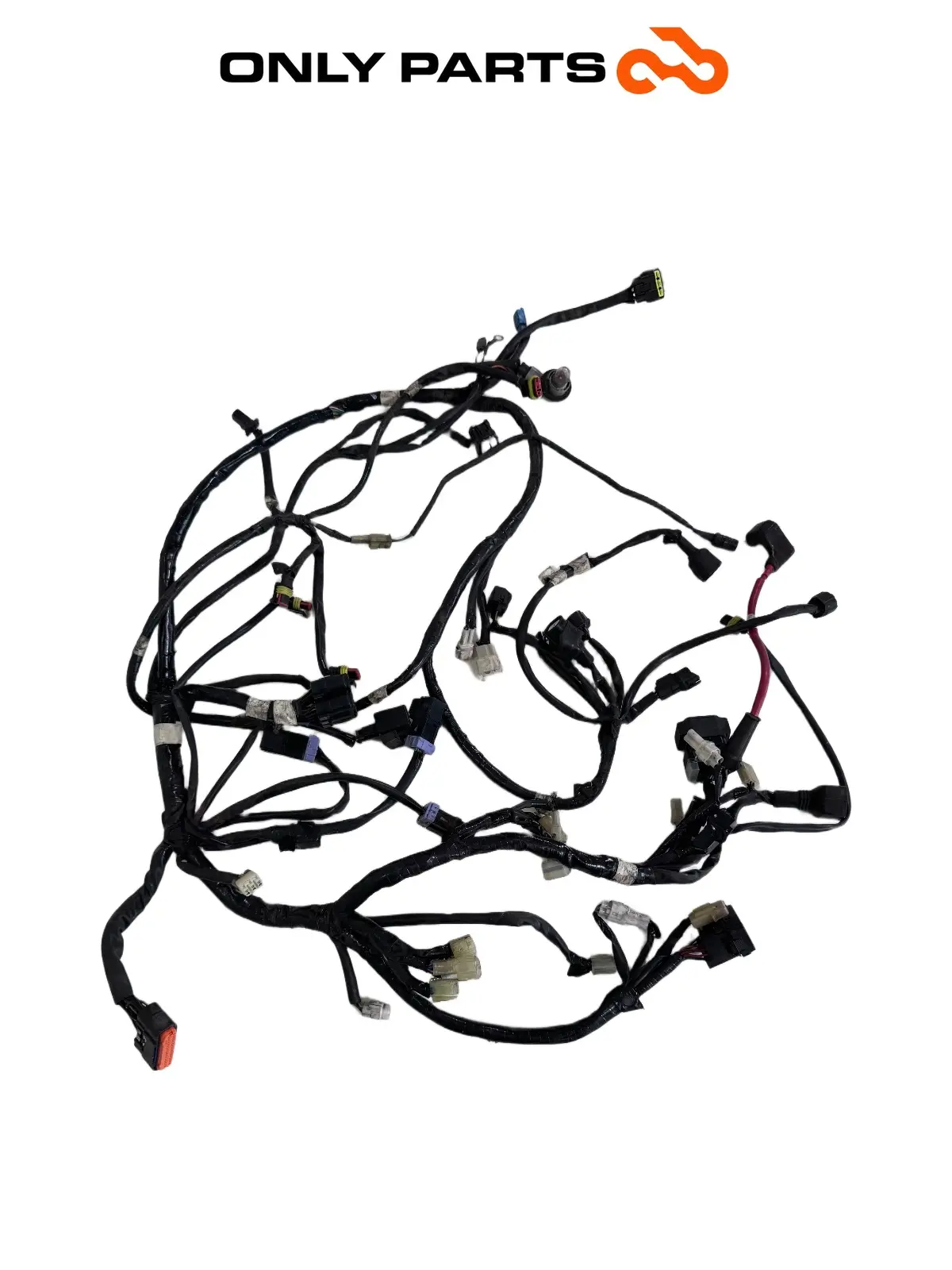 Cablaggio elettrico principale — 4