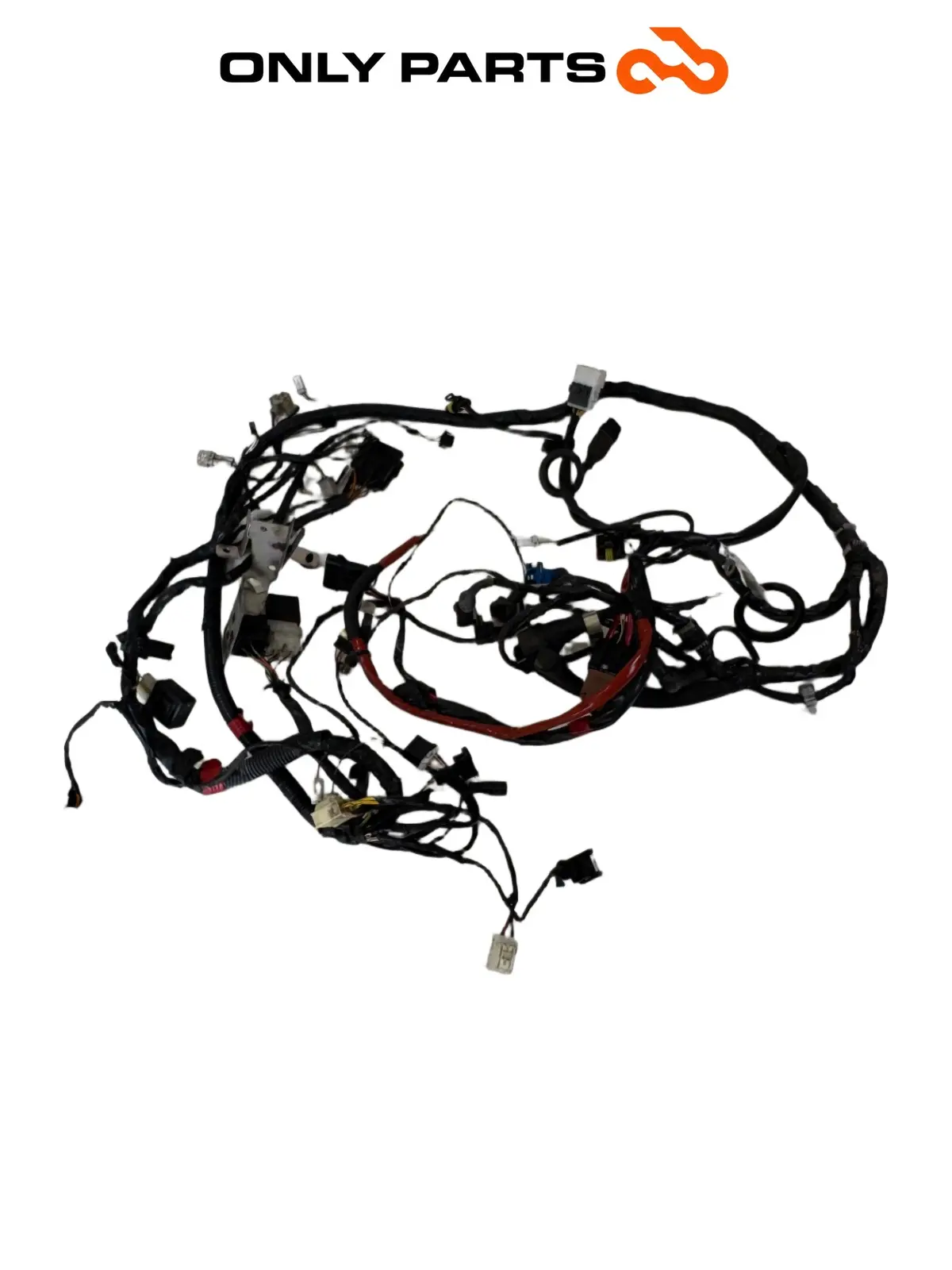 Cablaggio elettrico principale — 2