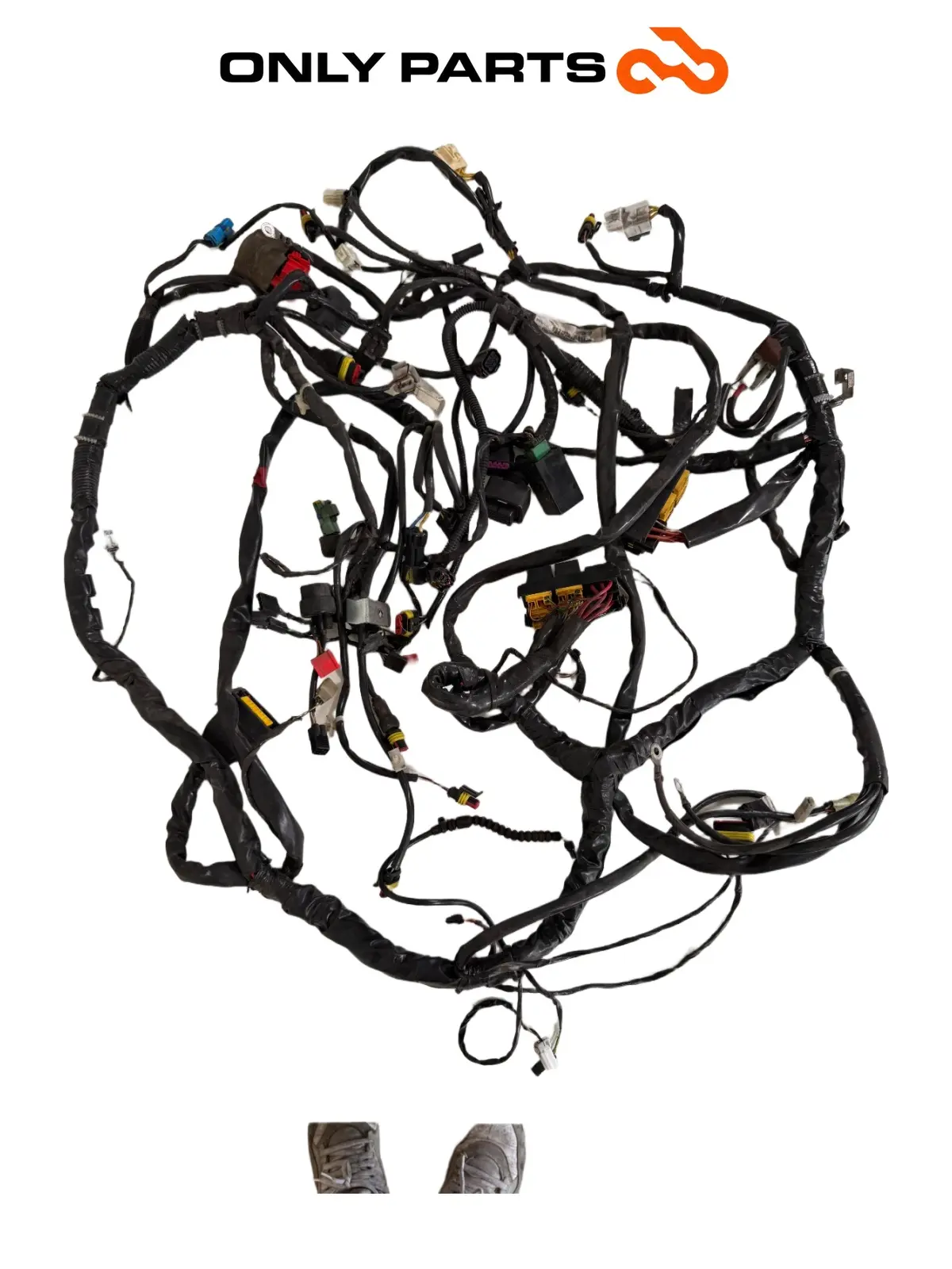 Cablaggio elettrico principale — 4