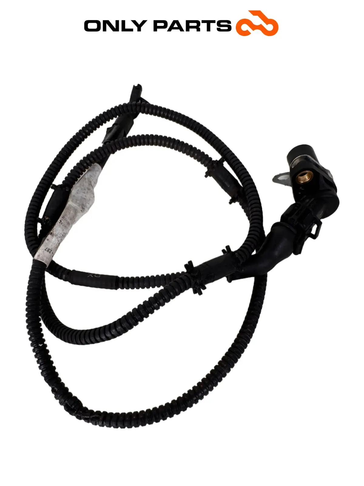 Sensore velocità ruota DX — 4