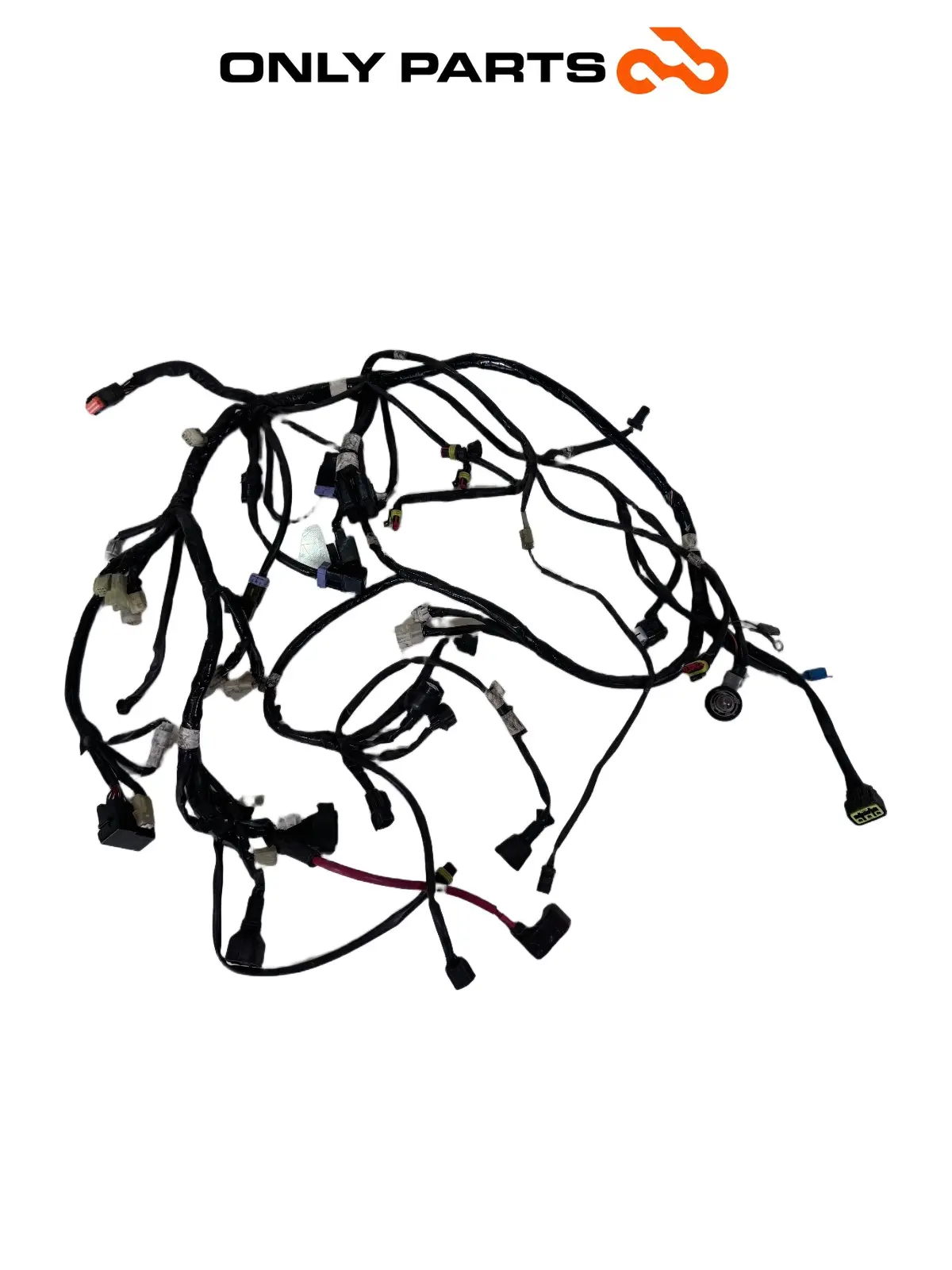 Cablaggio elettrico principale — 3